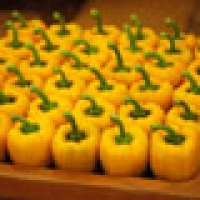 Image of Roasted Yellow Pepper Soup Recipe, Group Recipes