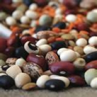 Image of Calico Beans Recipe, Group Recipes