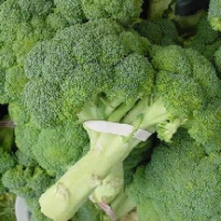 Image of Broccoli Piquant Recipe, Group Recipes