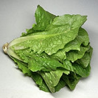 Image of Grilled Romaine Salad Recipe, Group Recipes