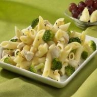 Image of Penne With Chicken Broccoli And Cheese Recipe, Group Recipes