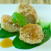 Image of Sesame Scallops With Tangerine And Bok Choy Recipe, Group Recipes