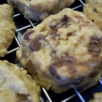 Image of Oats And Chocolate Shortbread Recipe, Group Recipes
