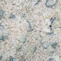 Image of Macaroni Salad Recipe, Group Recipes