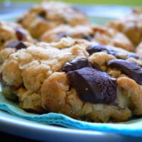 Image of Chocolate Apricot Amp Hazelnut Biscuits Recipe, Group Recipes