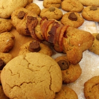Image of Peanut Butter Cookies For Dogs & Boys Recipe, Group Recipes