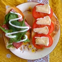 healthy gourmet sandwich recipes
 on Gourmet Salami Sandwich Recipe