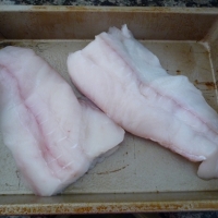 Raw Halibut