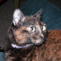 beckna